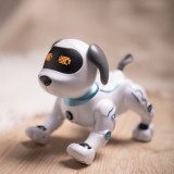 PERRO MASCOTA RADIO CONTROL MXRD-100 MAXLIFE