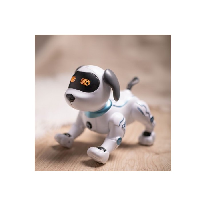 PERRO MASCOTA RADIO CONTROL MXRD-100 MAXLIFE