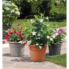 MACETA REDONDA DIAMETRO 25CM TAUPE ARTPLAST
