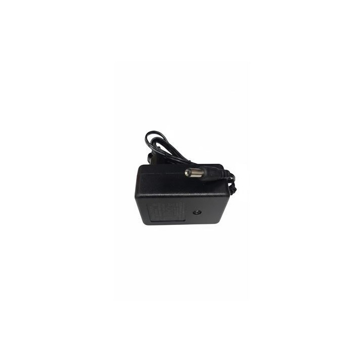 CARGADOR 12V PARA COCHES 33001