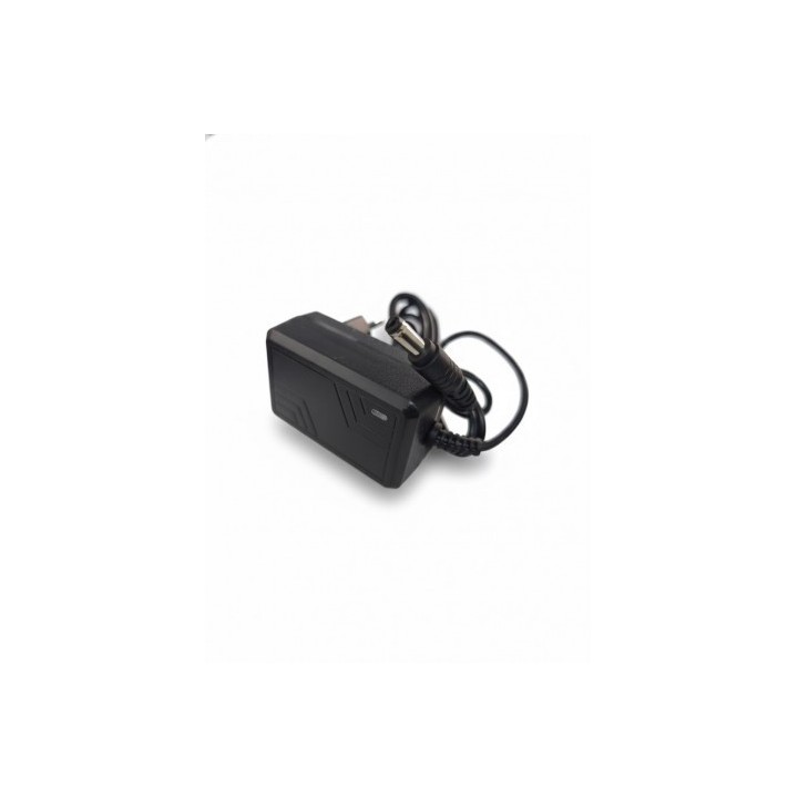 CARGADOR 12V PARA COCHES 33010