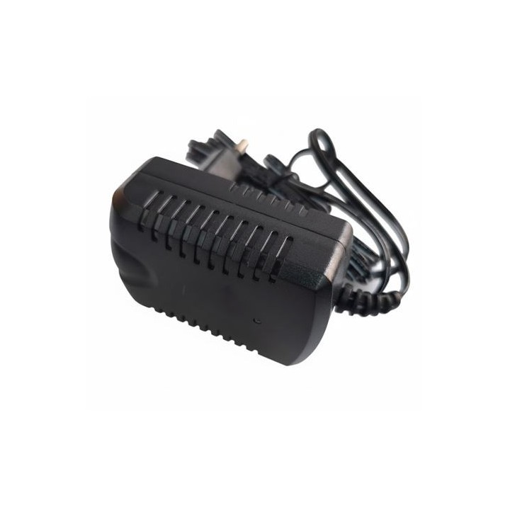 CARGADOR 12V PARA COCHES 33006