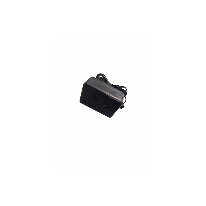 CARGADOR PARA COCHES 33002