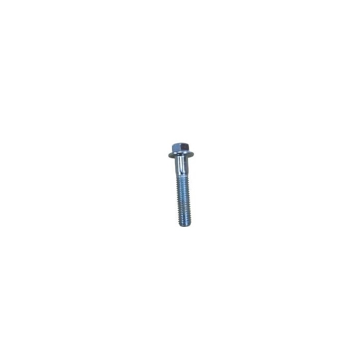 TORNILLO HEXAGONAL PARA GENERADOR BL0462 BLIM