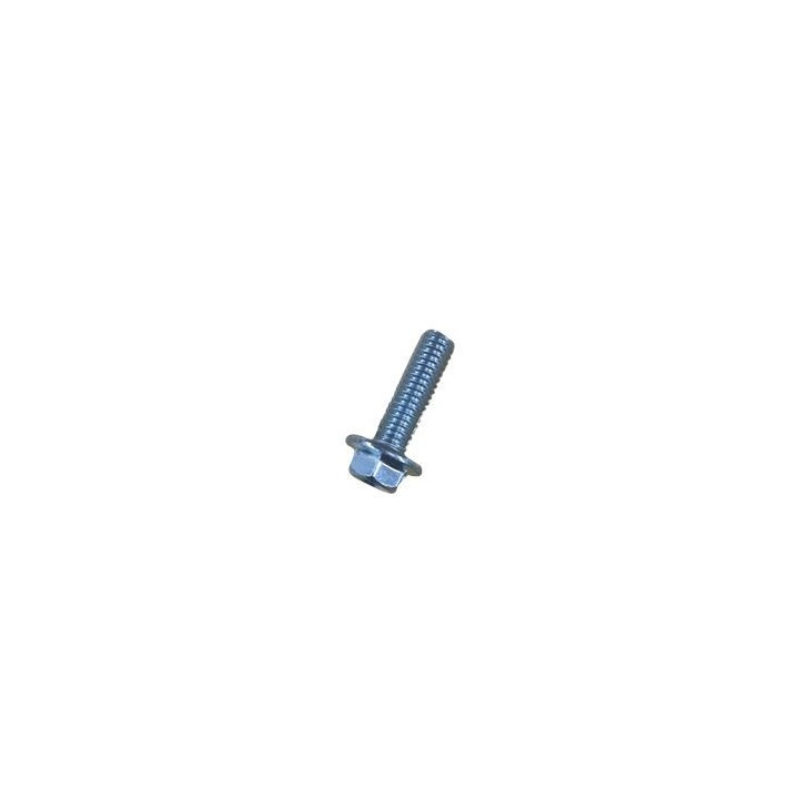 TORNILLO GRANDE PARA GENERADOR BL0458 BLIM