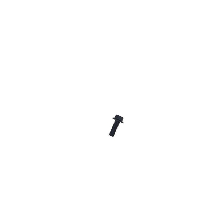 TORNILLO NEGRO PARA GENERADOR BL0458 BLIM