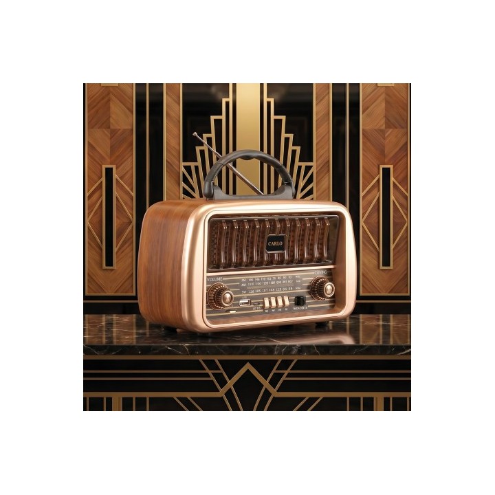 RADIO CARLO AM/FM JB-105 T USB 1200MAH FOREVER