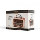 RADIO CARLO AM/FM JB-105 T USB 1200MAH FOREVER