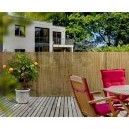 CAÑIZO NATURAL ENTERO 1X3 METROS SUNGARDEN