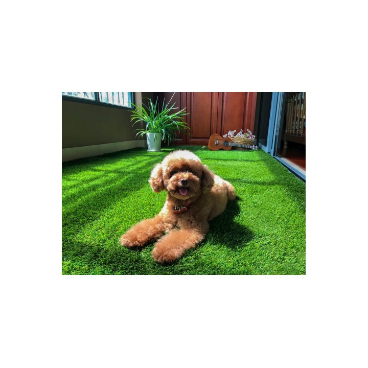 CESPED ARTIFICIAL 2X5 METROS 40MM SERIE ELEGANT SUNGARDEN