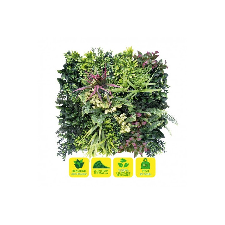 JARDIN VERTICAL 50X50CM SERIE ARBÓREA SUNGARDEN