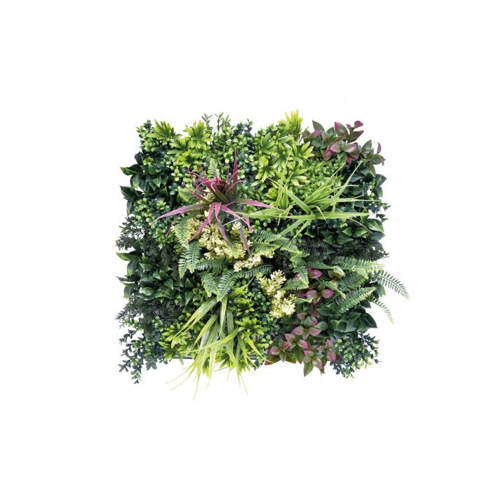 JARDIN VERTICAL 50X50CM SERIE ARBÓREA SUNGARDEN