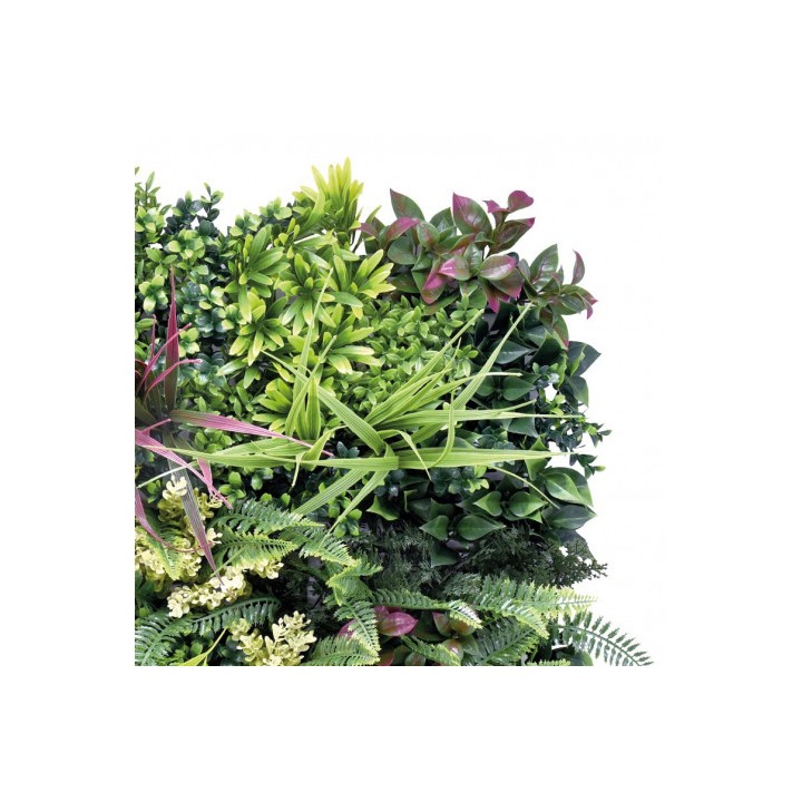 JARDIN VERTICAL 50X50CM SERIE ARBÓREA SUNGARDEN