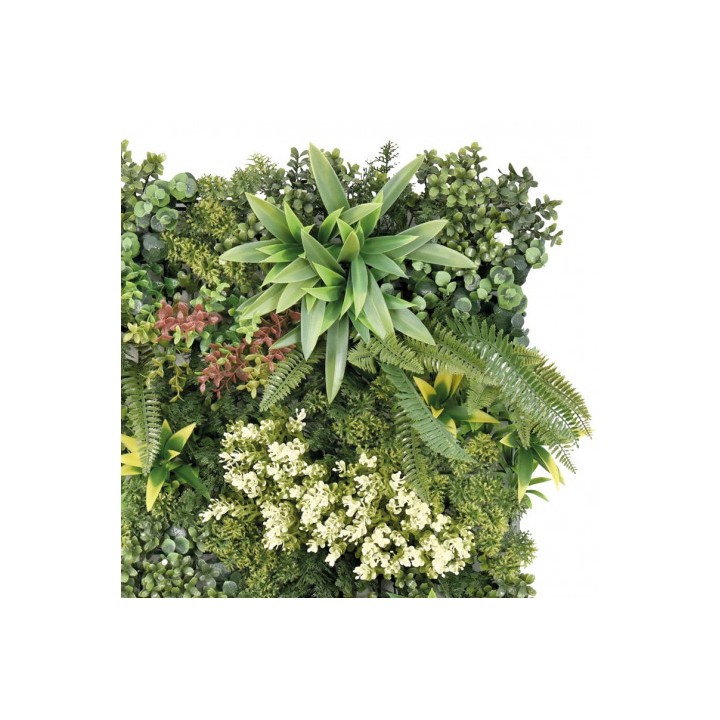 JARDIN VERTICAL 50X50CM SERIE BIONIA SUNGARDEN