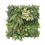 JARDIN VERTICAL 50X50CM SERIE ECOVIS SUNGARDEN