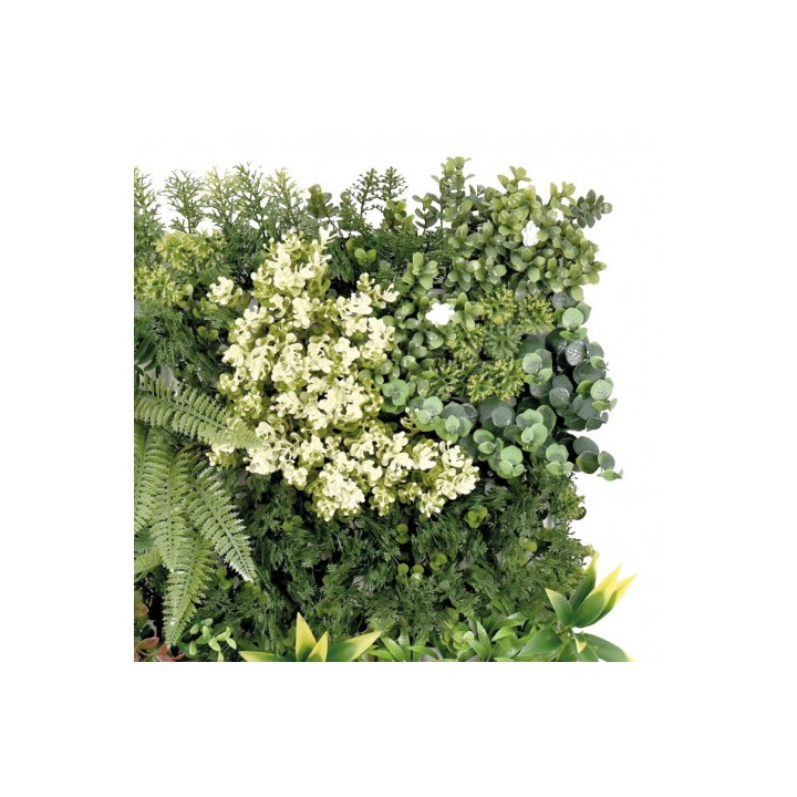 JARDIN VERTICAL 50X50CM SERIE ECOVIS SUNGARDEN