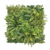JARDIN VERTICAL 50X50CM SERIE ECOFLORA SUNGARDEN