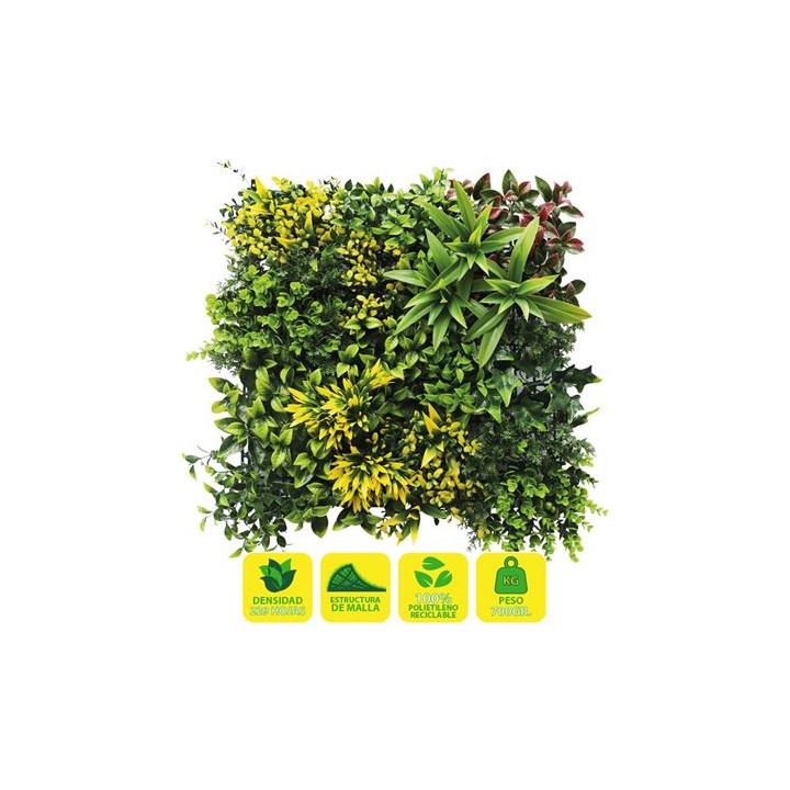 JARDIN VERTICAL 50X50CM SERIE GREENWALL SUNGARDEN