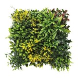 JARDIN VERTICAL 50X50CM SERIE GREENWALL SUNGARDEN