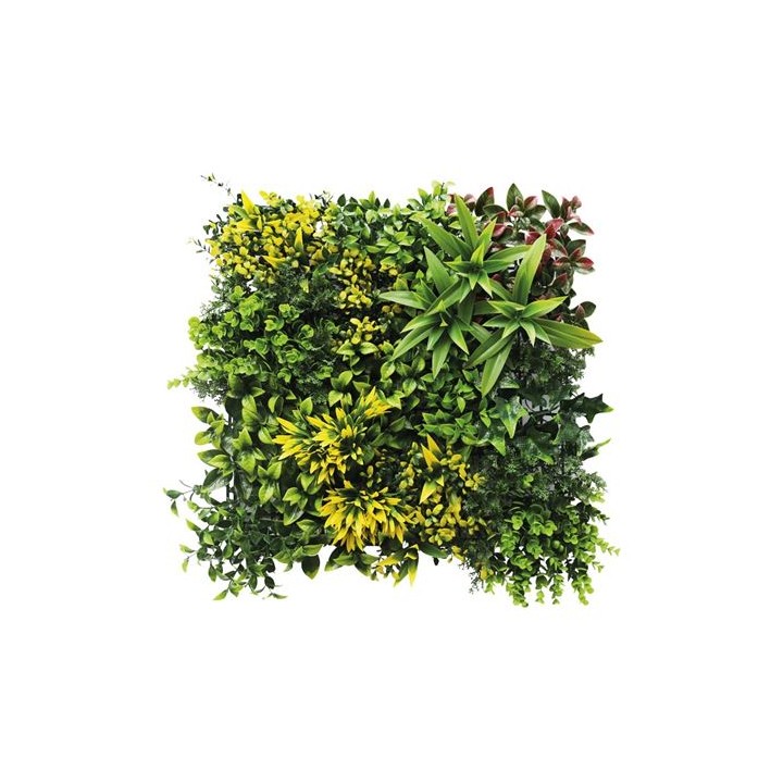 JARDIN VERTICAL 50X50CM SERIE GREENWALL SUNGARDEN