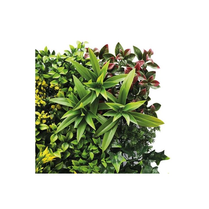 JARDIN VERTICAL 50X50CM SERIE GREENWALL SUNGARDEN