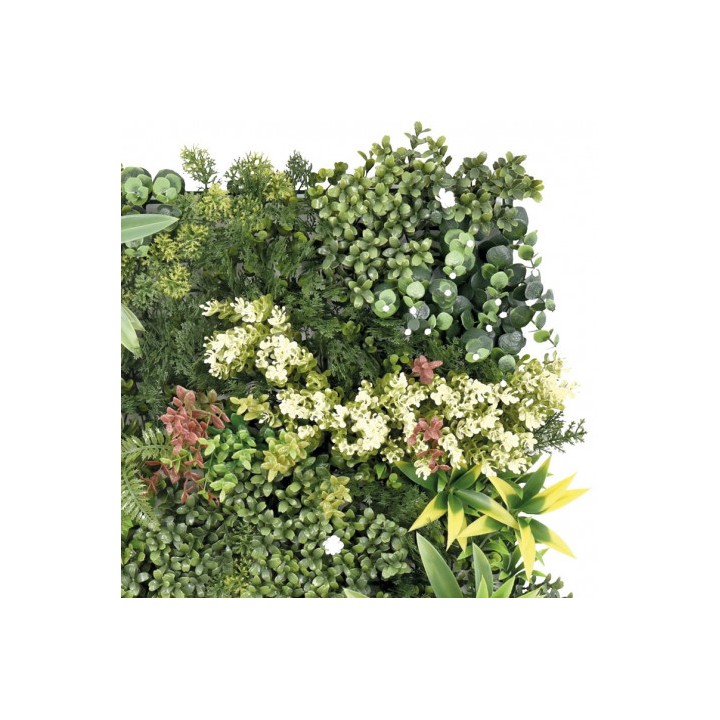 JARDIN VERTICAL 50X50CM SERIE OASYS SUNGARDEN