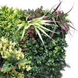 JARDIN VERTICAL 50X50CM SERIE VERDIVIA SUNGARDEN