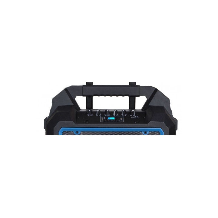 ALTAVOZ AUTOAMPLIFICADO PRO300 10" 300W CON BATERIA + MICRO SERIE PRO COOLS