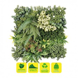 JARDIN VERTICAL 50X50CM SERIE ECOVIS SUNGARDEN
