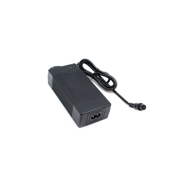 CARGADOR ORIGINAL SPEEDO SMART BALANCE
