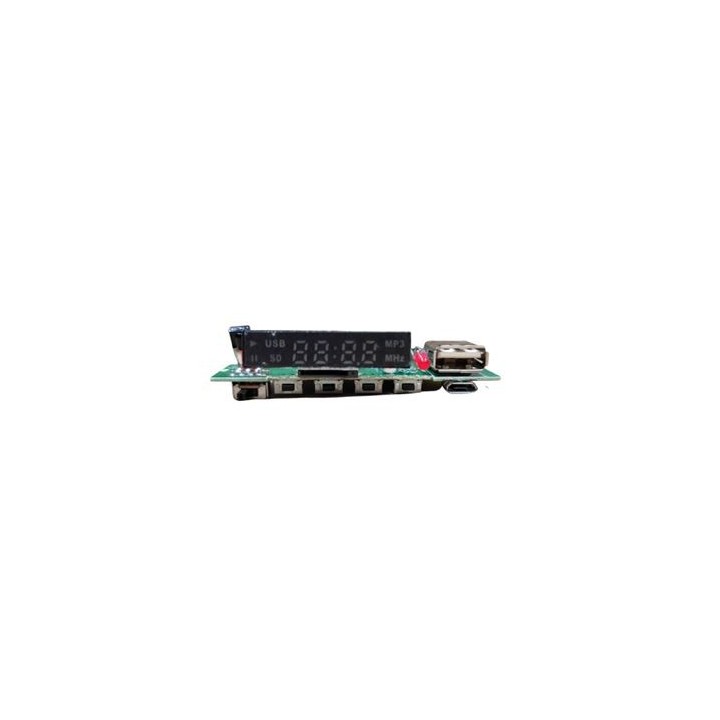 PLACA PARA ALTAVOZ 10W COOLSOUND